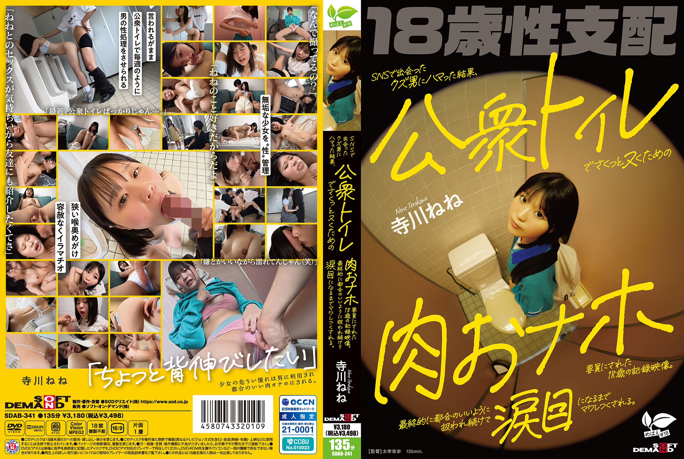 SDAB-341 SNSで出会ったクズ男にハマった结果、公衆トイレでさくっとヌくための肉おナホ要员にされた18歳